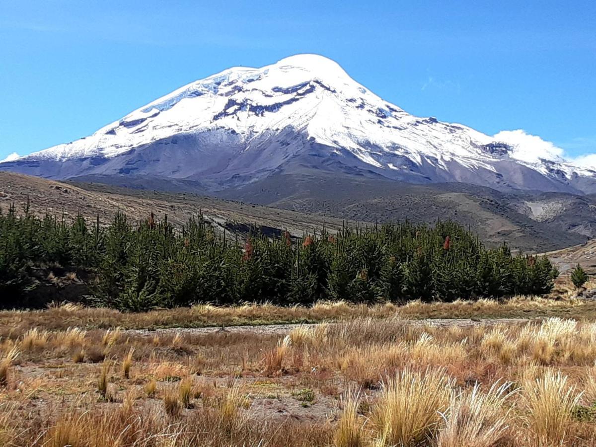 Hospedaje Chimborazo Eksteriør billede