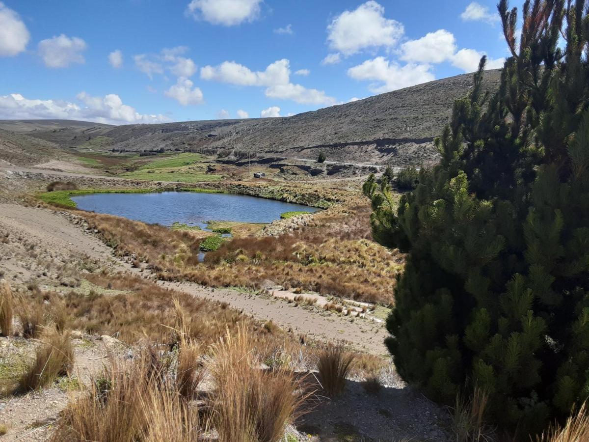 Hospedaje Chimborazo Eksteriør billede