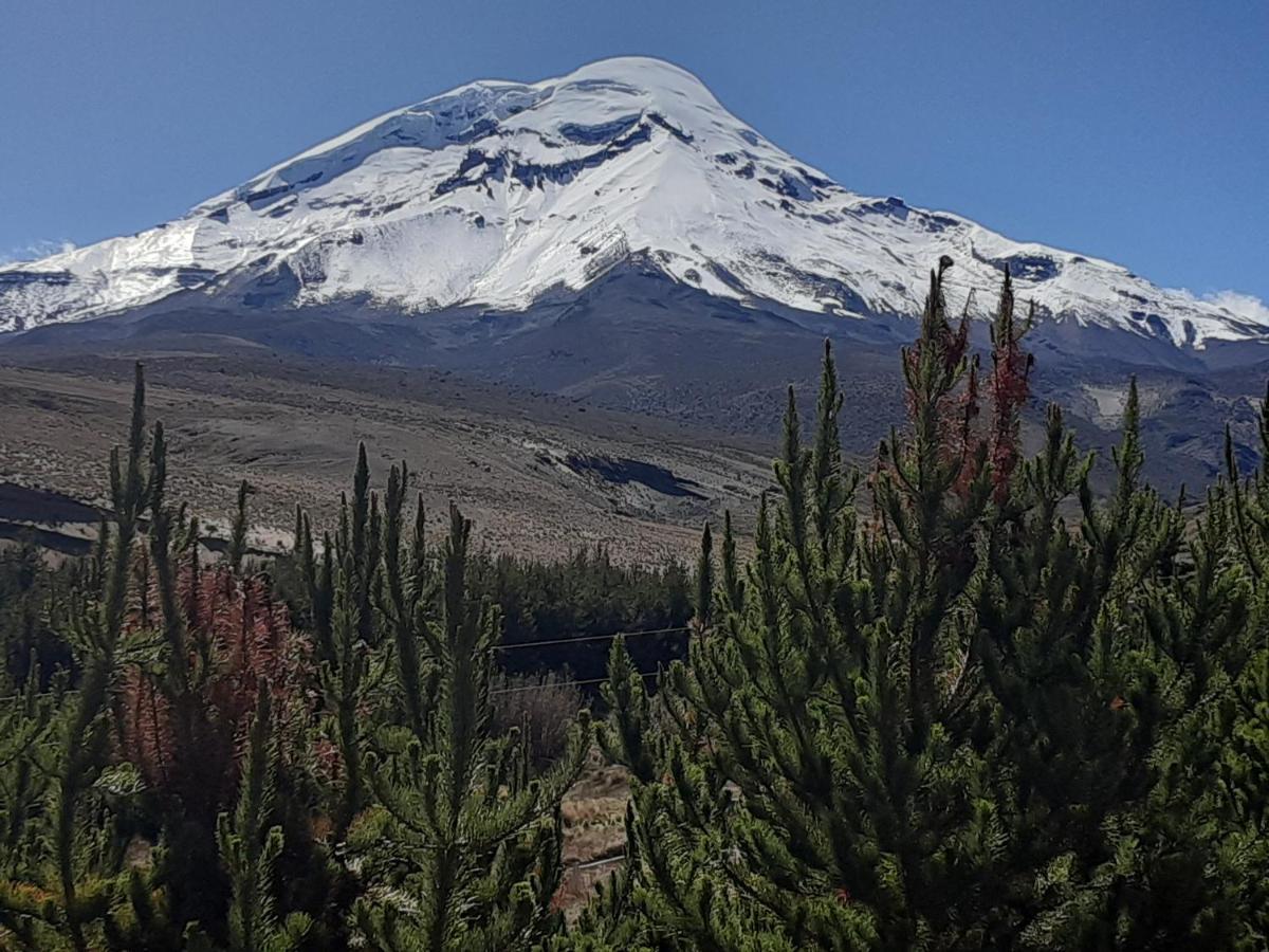 Hospedaje Chimborazo Eksteriør billede